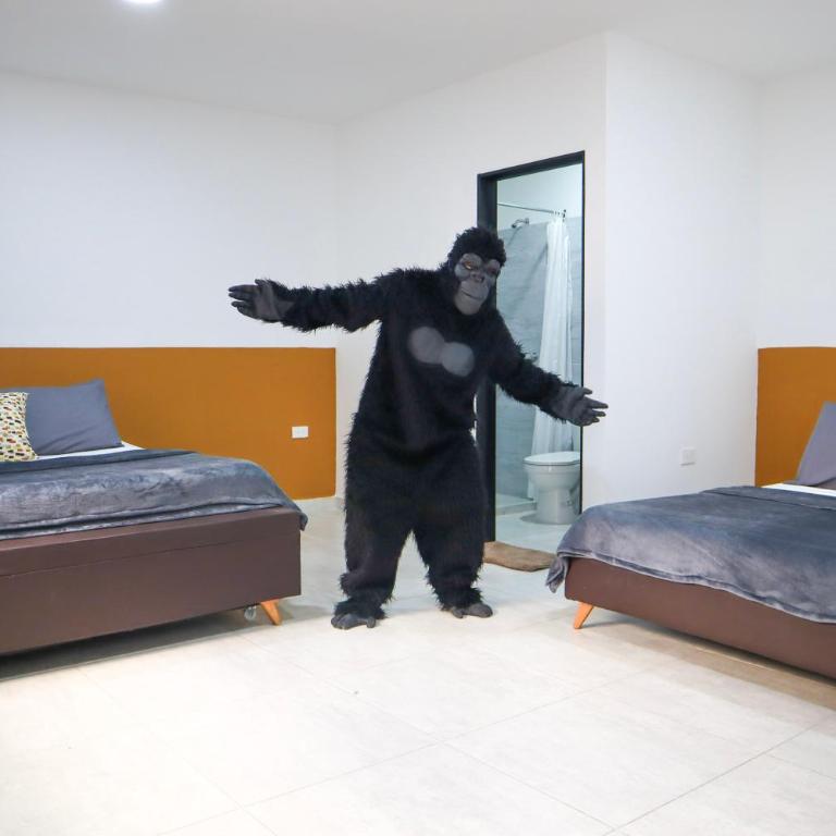 Hostel Trip Monkey San Gil - Habitación Familiar con baño privado - 1