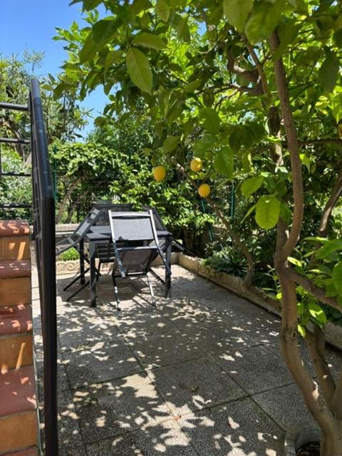 Casa Irma Follonica - Appartamento con 2 Camere da Letto - 2