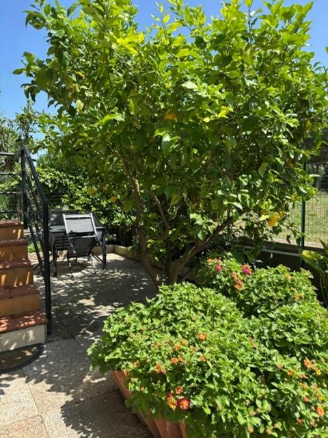 Casa Irma Follonica - Appartamento con 2 Camere da Letto - 3