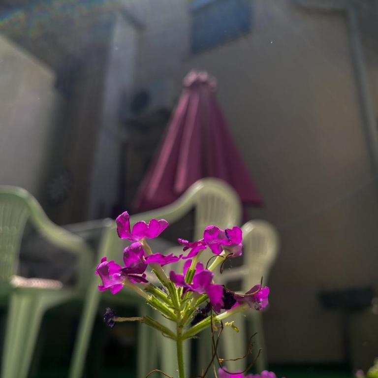 Secret Garden Mostar - One-Bedroom Apartment - 7