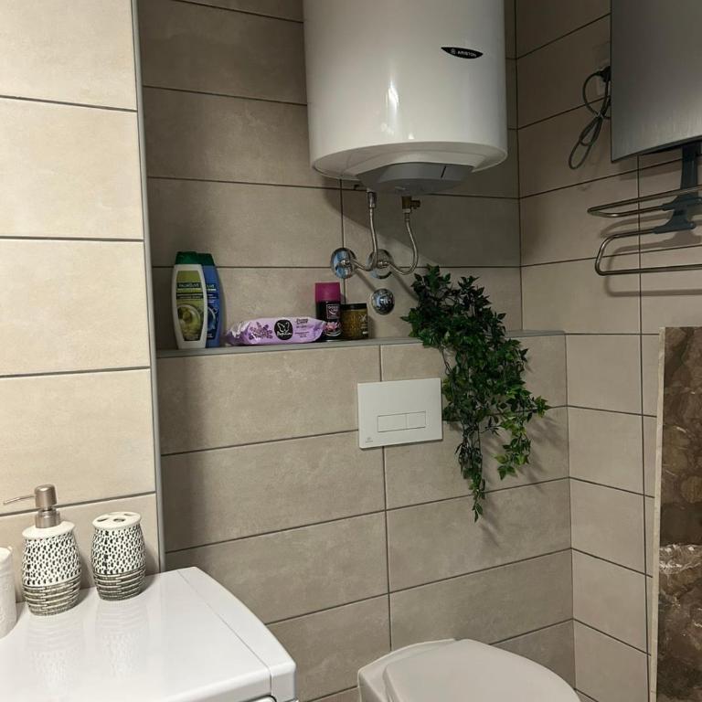Ljubičica deluxe 2, sa dvorištem i parkingom - One-Bedroom Apartment - 50