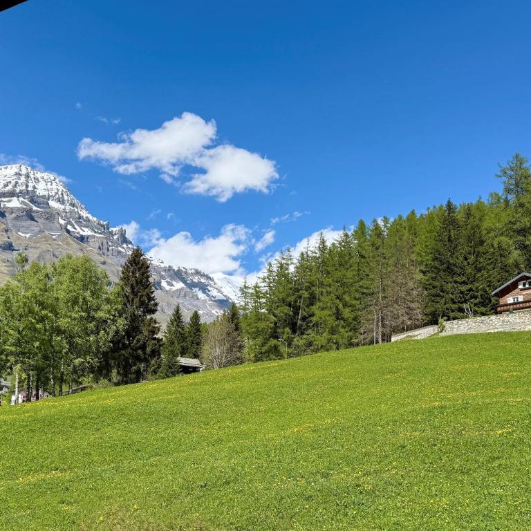 Hotel Restaurant Waldhaus - Doppelzimmer mit Gartenblick - 9