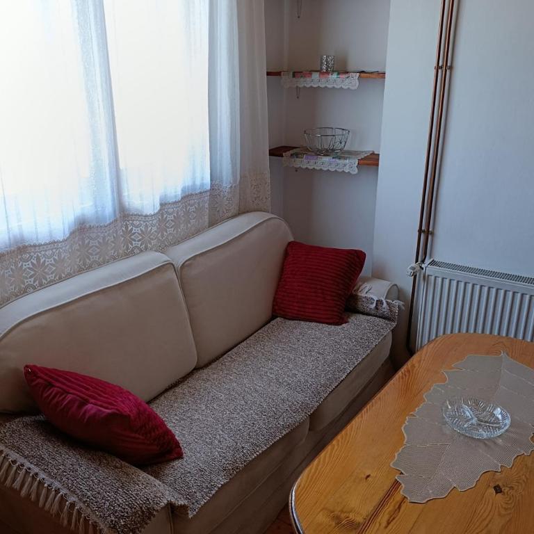 Apartmani Ćetković - Apartment - 1