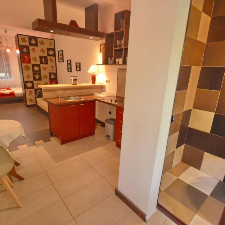 Apartments Spasoje - Standardni Studio - 9