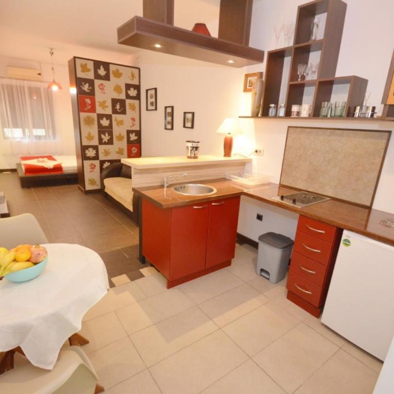 Apartments Spasoje - Standardni Studio - 1