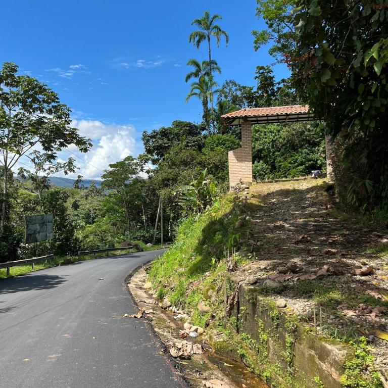Finca de Majo - Casa - 50