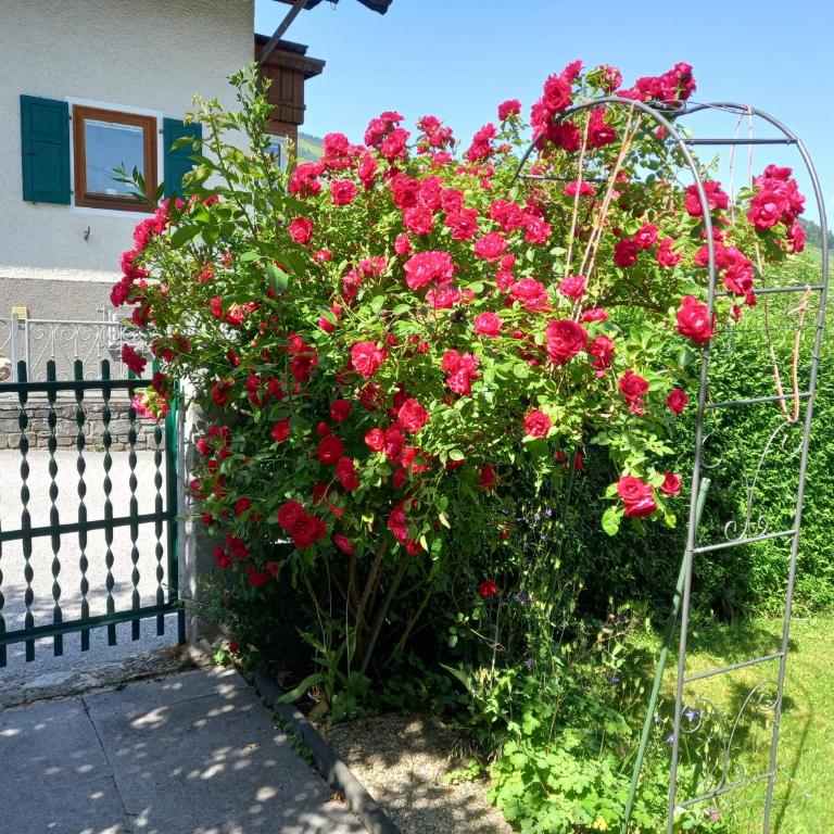 Lovely Rita Studio, modern Studio - balcony and mountain view - center Kaprun - Studio-Apartment - 26