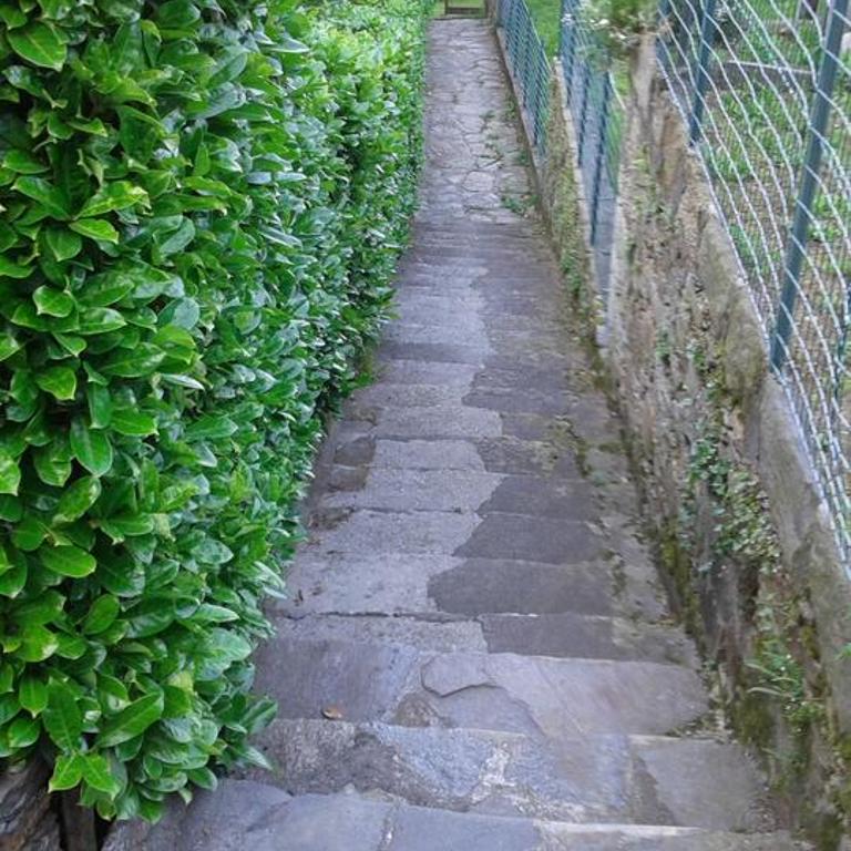 Vanni's House - Appartamento - 31