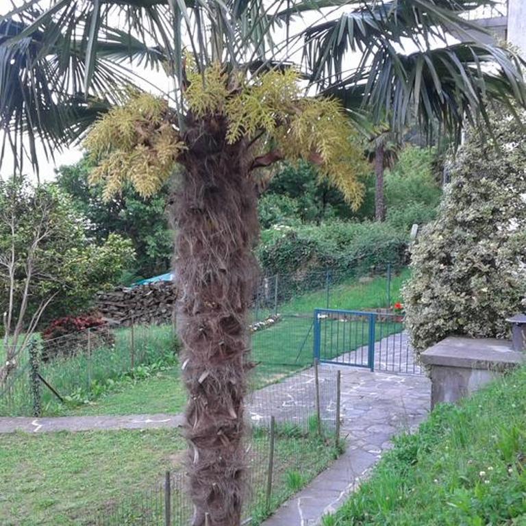 Vanni's House - Appartamento - 34