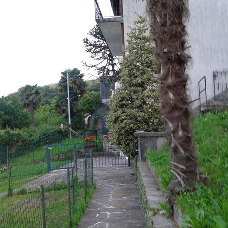Vanni's House - Appartamento - 33