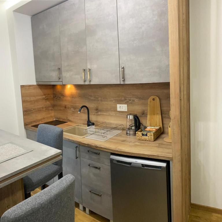 Apartman Dvor - One-Bedroom Apartment - 4