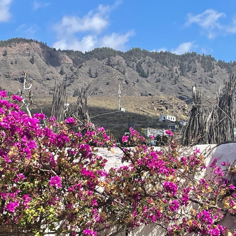 Tierrazul Art Boutique Rose Sweet Suite - Apartamento de 1 dormitorio - 11