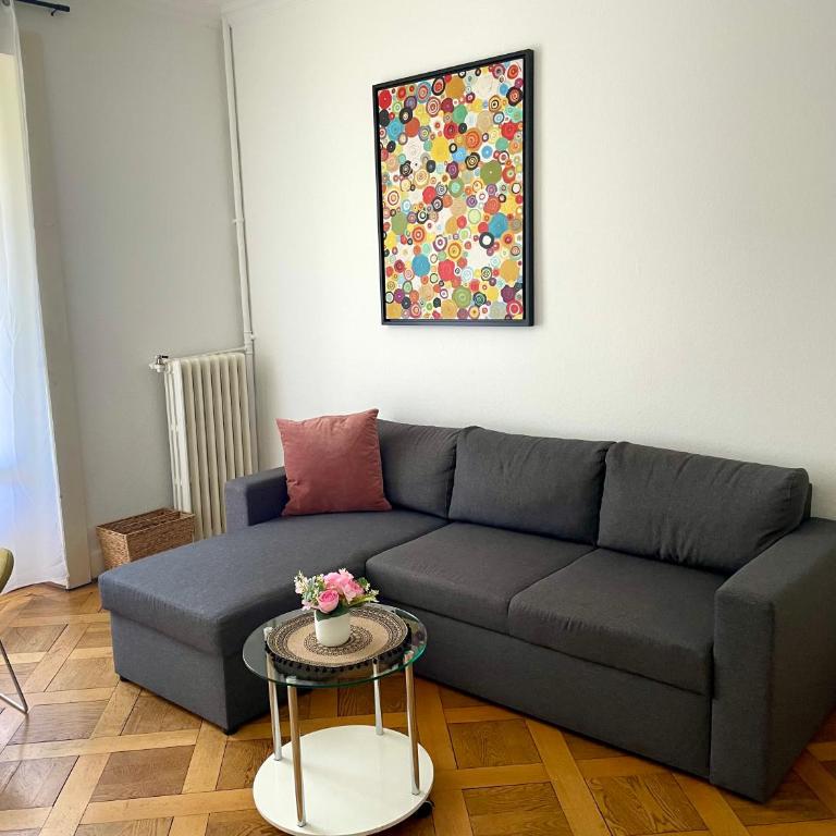8 minutes walking from Lausanne Train station - One-Bedroom Apartment - 6