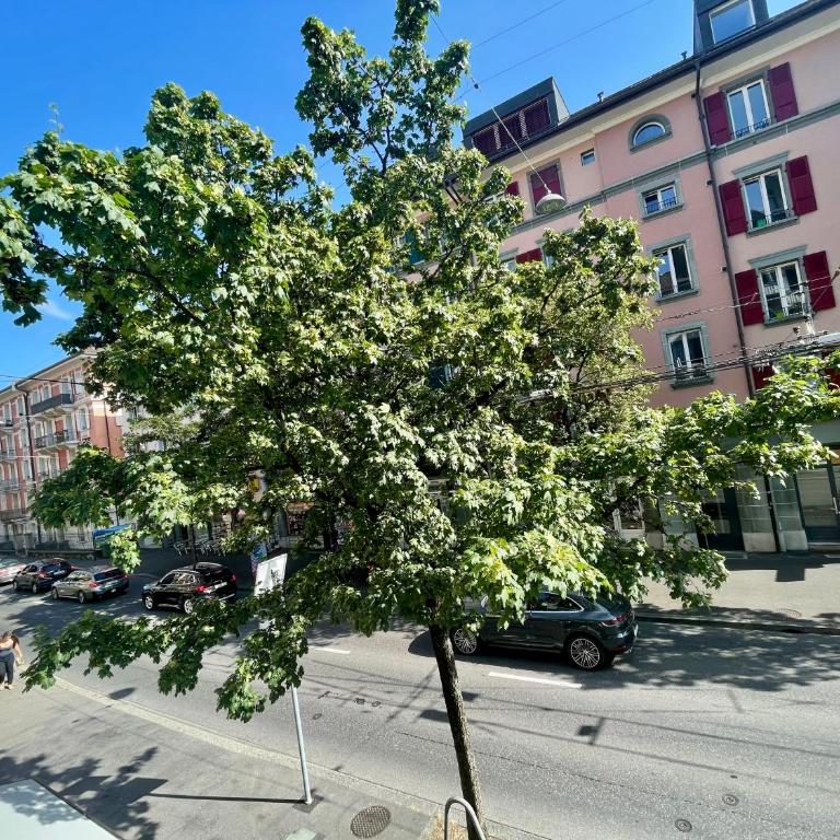 8 minutes walking from Lausanne Train station - One-Bedroom Apartment - 25