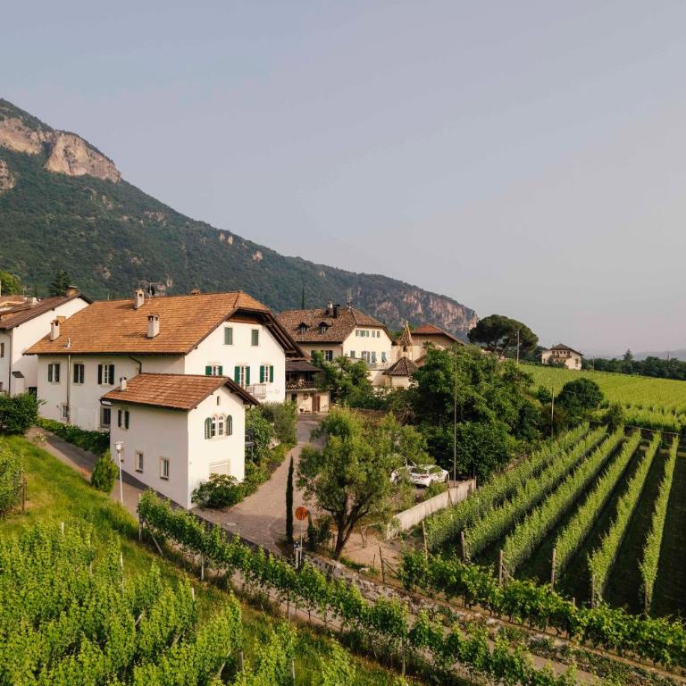 Karcher-Hof Terlan - Wohnen im Weinberg - Appartamento con 1 Camera da Letto - 21