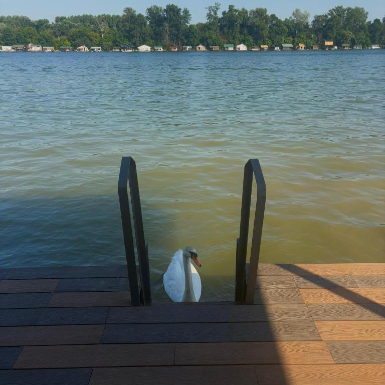 Santa Barbara River - Apartman sa 1 Spavaćom Sobom - 10