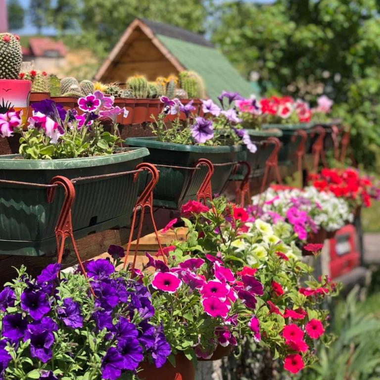 Mountain house Drveni Raj - Two-Bedroom House - 11