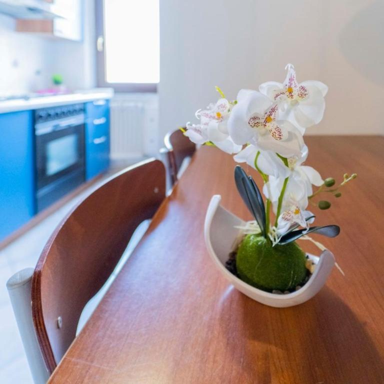 Casa tipica ligure lungomare in pieno centro - Appartamentino su 2 Livelli - 17