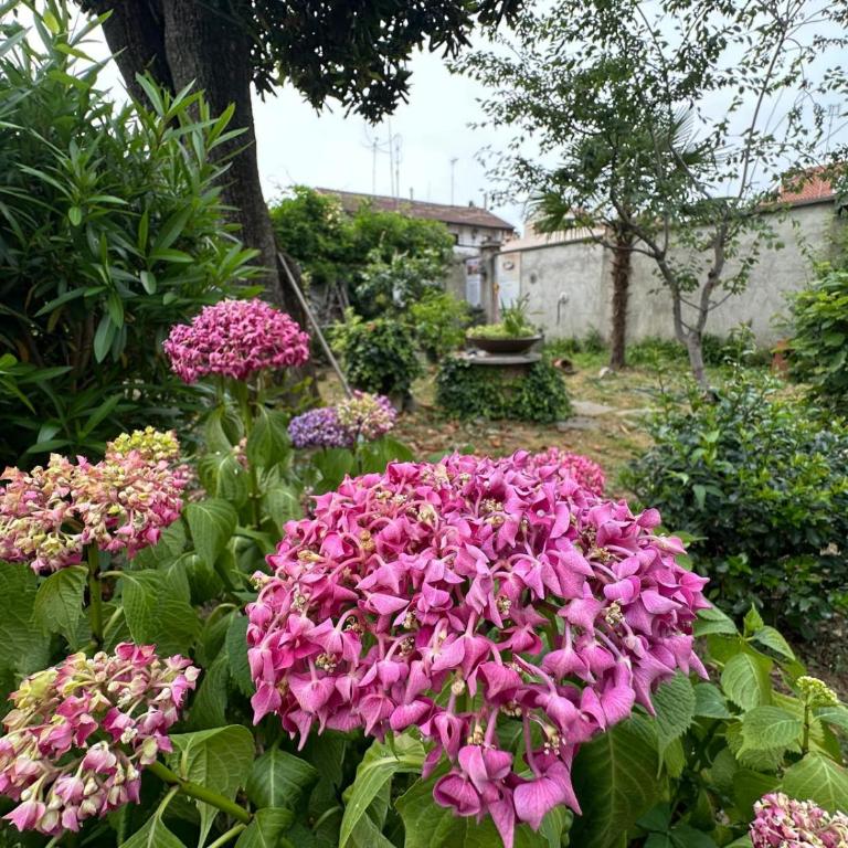 Boutique Apartment Torino - We Can Stay Via Assisi - Appartamento con 2 Camere da Letto - 39