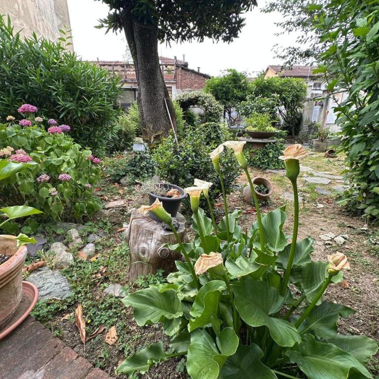 Boutique Apartment Torino - We Can Stay Via Assisi - Appartamento con 2 Camere da Letto - 43