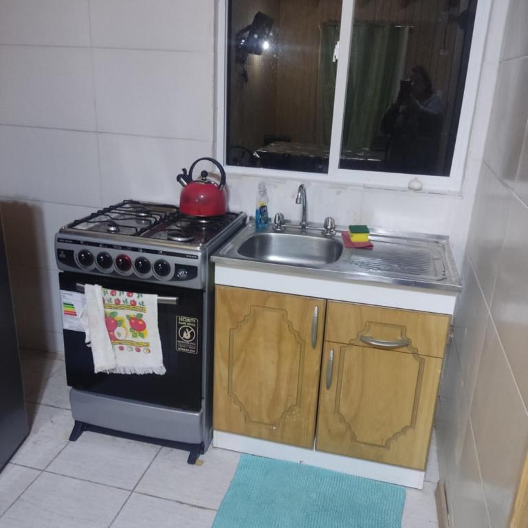 Linda - Apartamento de 2 dormitorios - 13