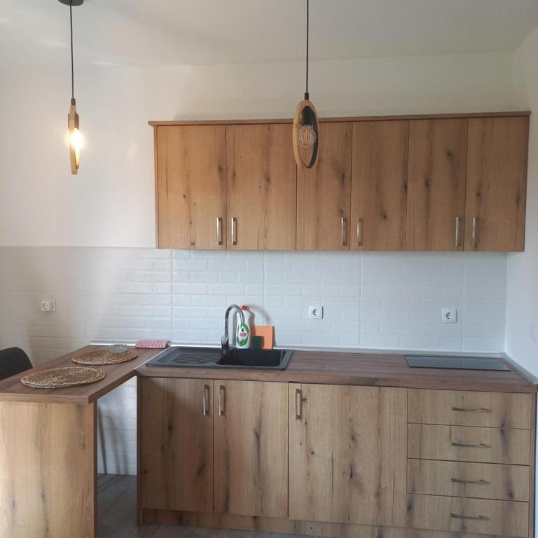 Apartman Miloš - Apartman sa 1 Spavaćom Sobom - 7
