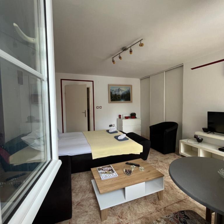 Hidden Gem Studio Apartment - One-Bedroom Apartment - 8