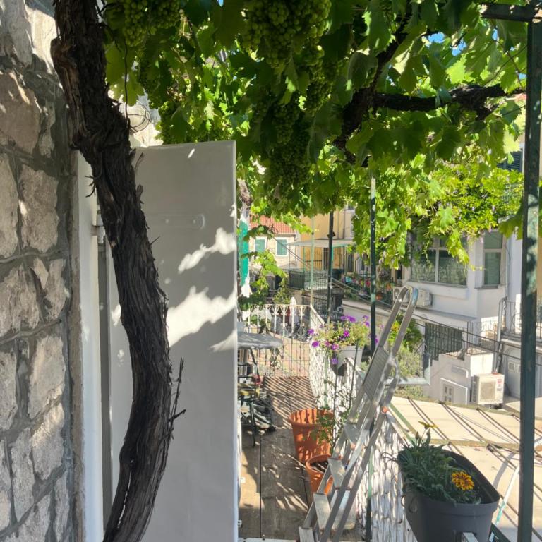 Hidden Gem Studio Apartment - One-Bedroom Apartment - 12