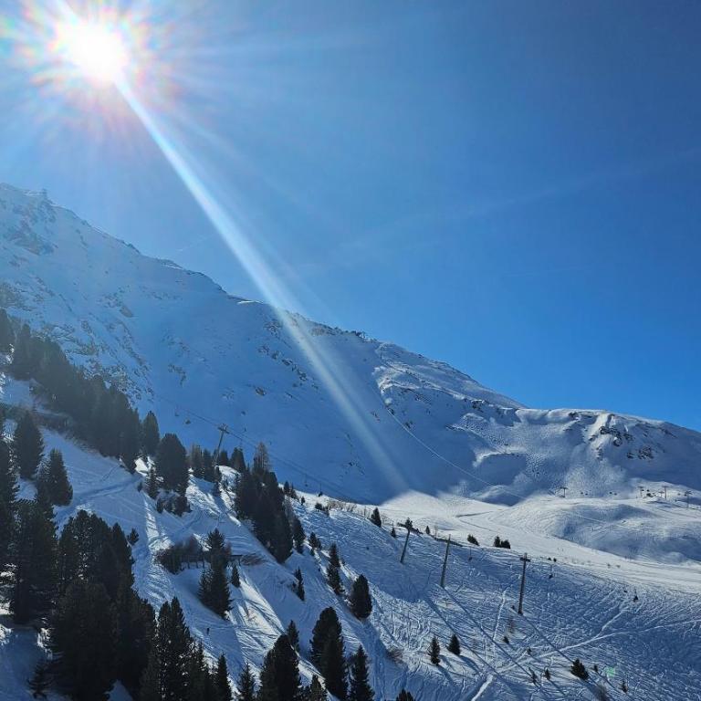 Plein Sud, skis aux pieds, linge & ménage inclus---South-facing, SKI-IN-OUT, all included---Arc 2000, Le Varet - Appartement 1 Chambre avec Balcon et Vue sur les Montagnes - 14
