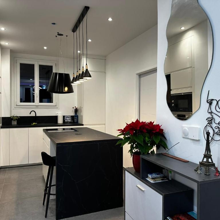 Chic Renovated Home - Nice Libération - Entire 2BR 2BA Apartment or Private Rooms with Private Bathrooms - AC and Garage on request - Appartement 2 Chambres - 37