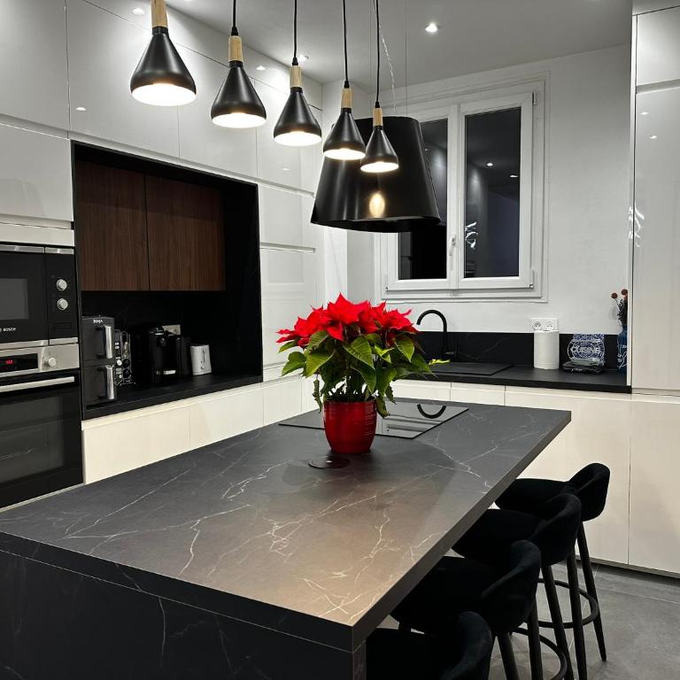 Chic Renovated Home - Nice Libération - Entire 2BR 2BA Apartment or Private Rooms with Private Bathrooms - AC and Garage on request - Appartement 2 Chambres - 39