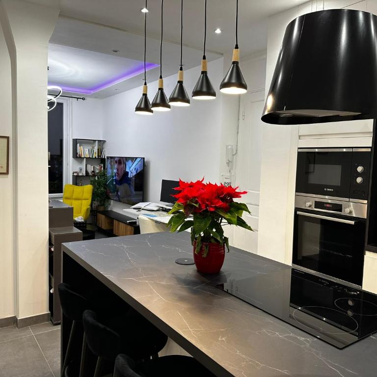 Chic Renovated Home - Nice Libération - Entire 2BR 2BA Apartment or Private Rooms with Private Bathrooms - AC and Garage on request - Appartement 2 Chambres - 22
