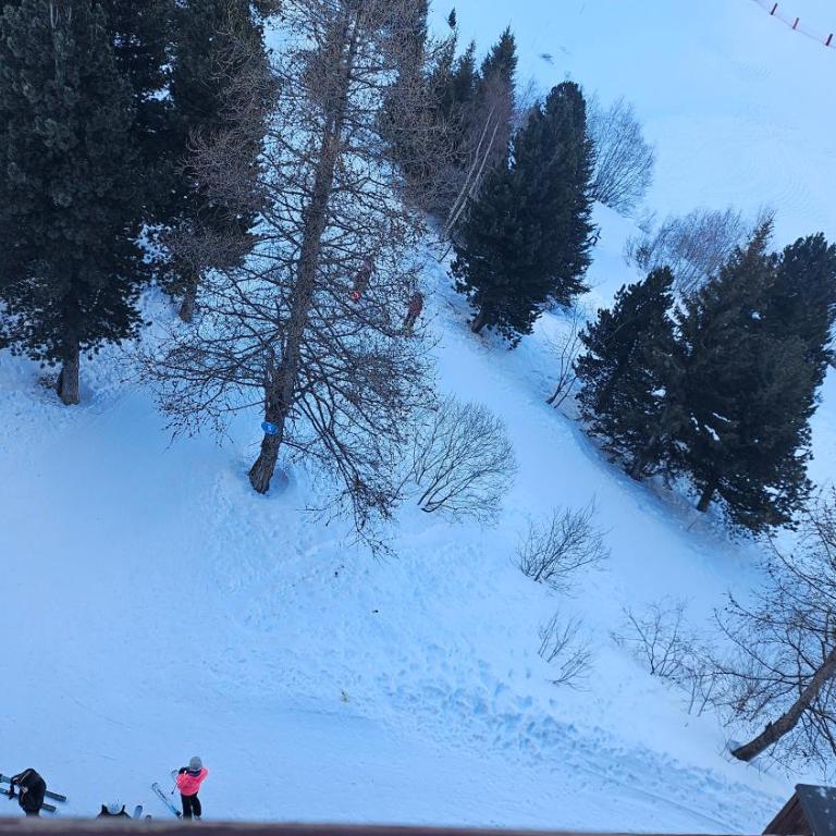Plein Sud, skis aux pieds, linge & ménage inclus---South-facing, SKI-IN-OUT, all included---Arc 2000, Le Varet - Appartement 1 Chambre avec Balcon et Vue sur les Montagnes - 17