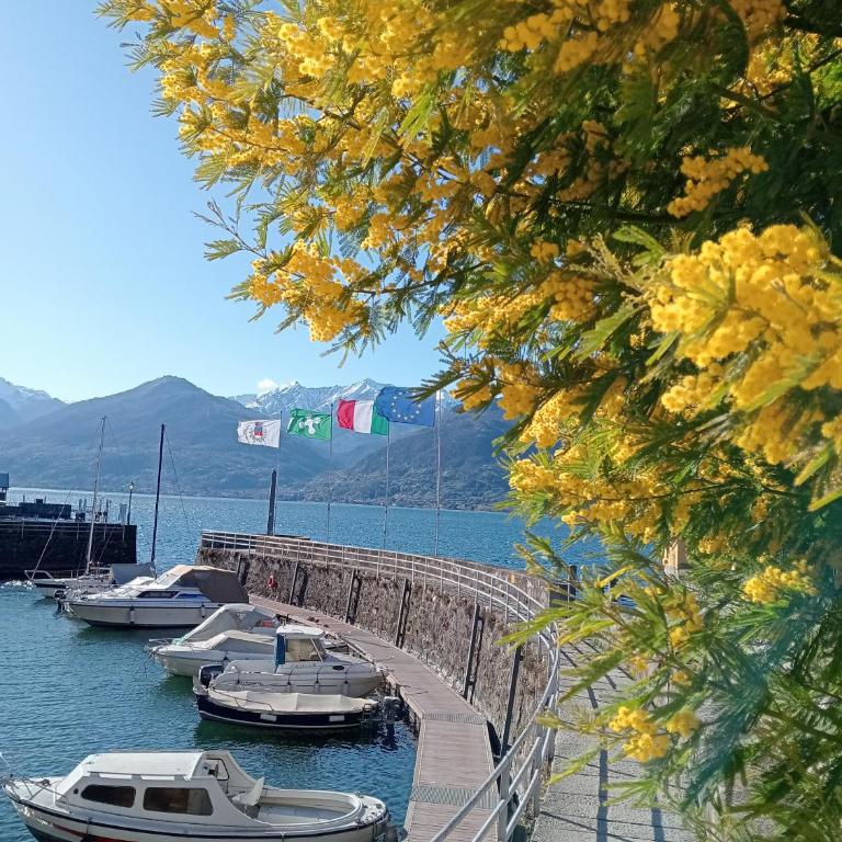Appartamento Bonita Vista - Appartamento con 1 Camera da Letto - 22