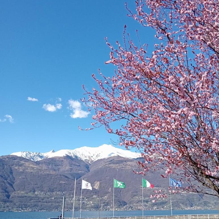 Appartamento Bonita Vista - Appartamento con 1 Camera da Letto - 23