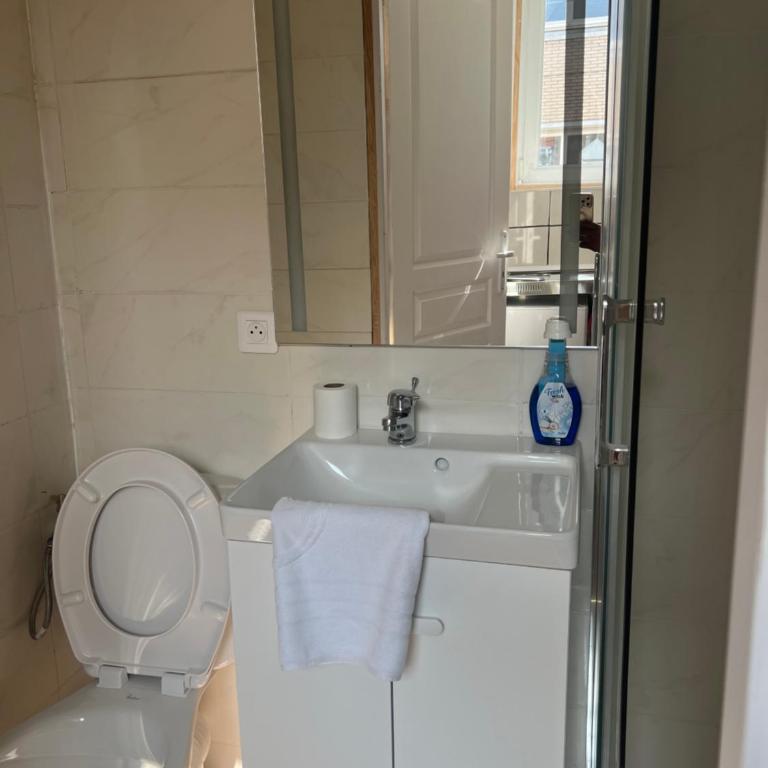 Royal appart city 3 - Appartement 1 Chambre - 5