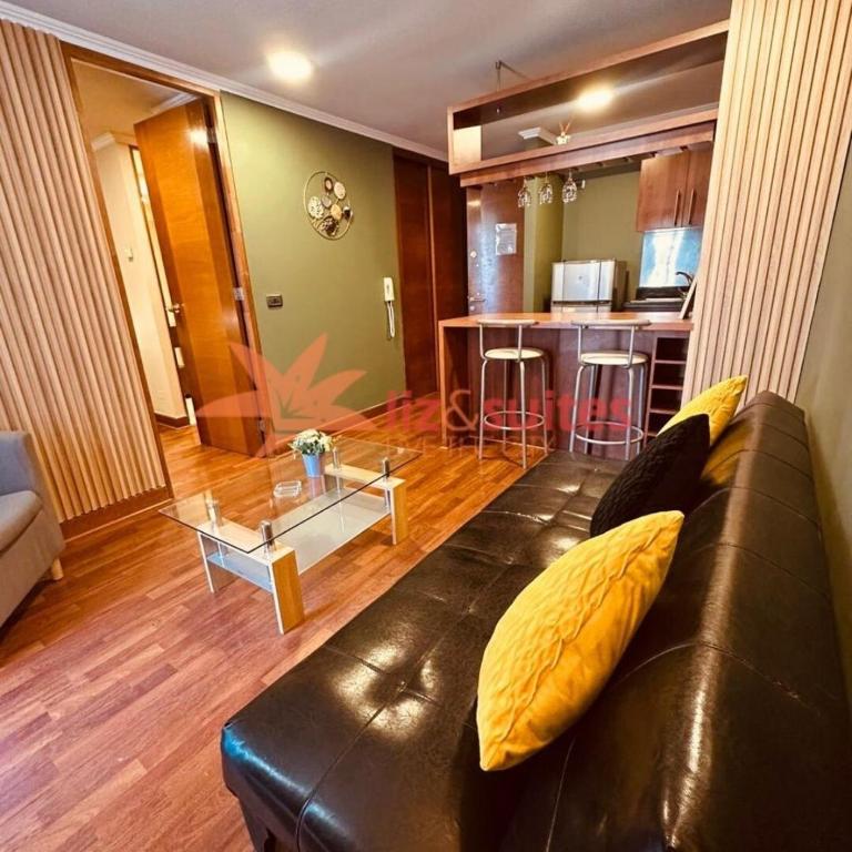 Tranquilidad y comodidad en Providencia - Apartamento de 1 dormitorio - 4