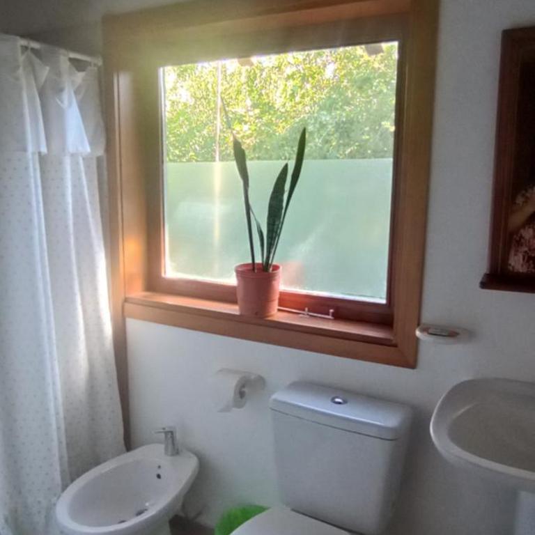Campanita - Apartamento de 2 dormitorios - 2