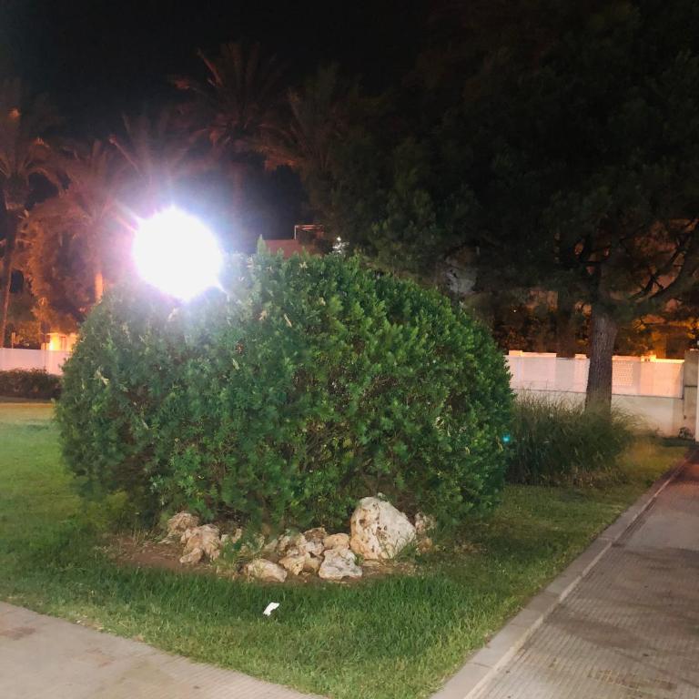 Apartamentos Las Palmeras, Benicàssim - Apartamento de 1 dormitorio - 24