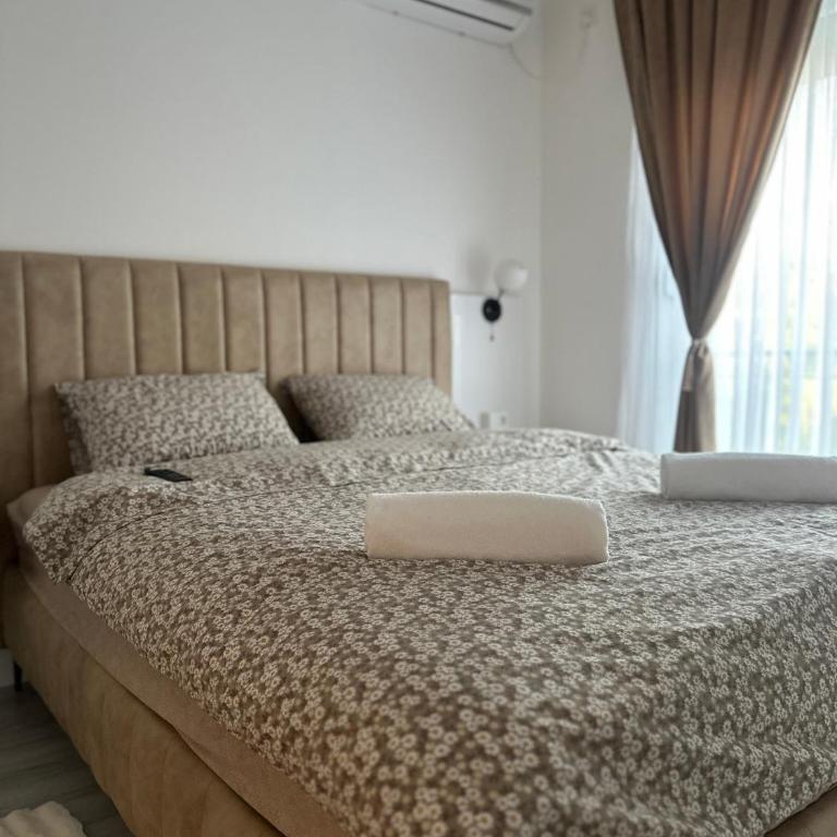 La Mia Apartments - Apartman s 1 Spavaćom Sobom i Balkonom - 9