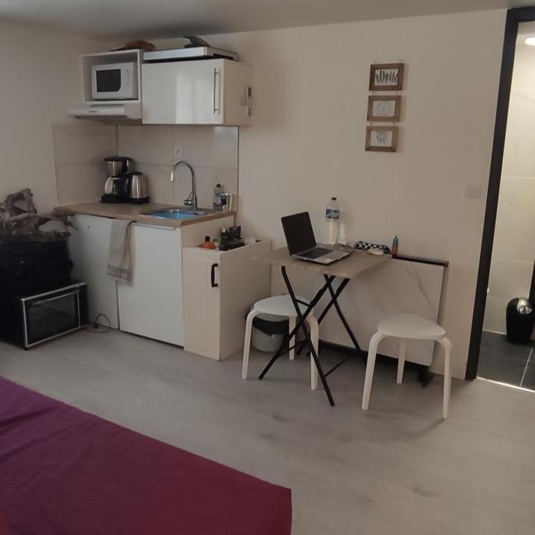 Les Saules Studio Wifi Clim Gare Centre - Monolocale con Divano-Letto - 1