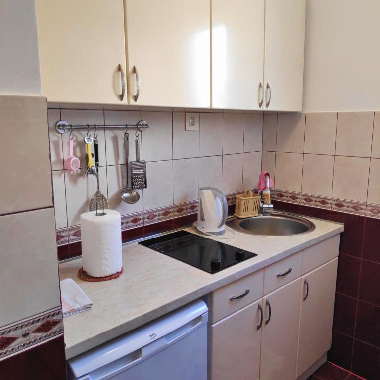 Apartmani Asanović - Superior Apartman - 14