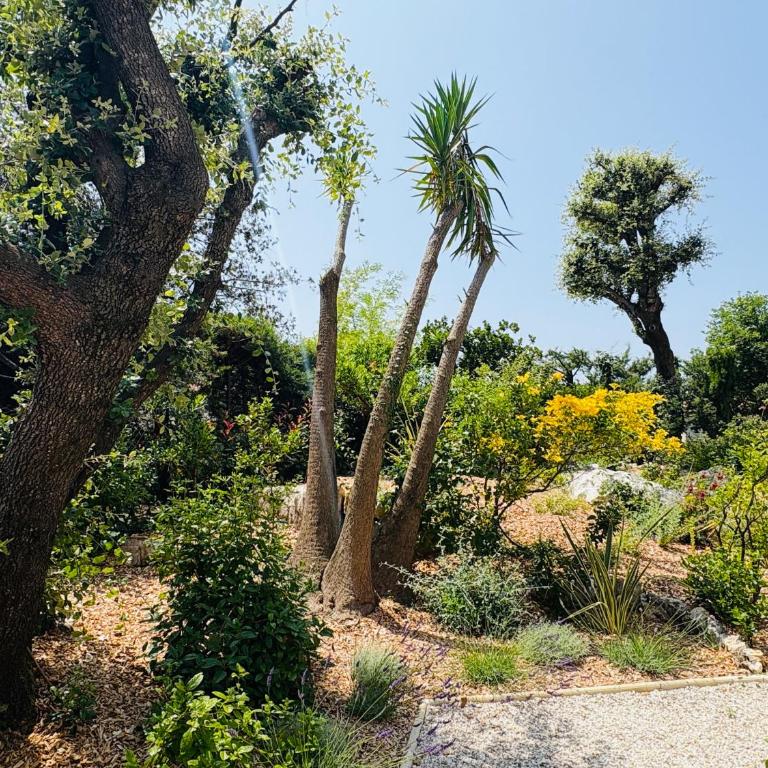 L'Esprit Sud, 4 Suites & Piscine Chauffée - Villa with Private and Heated Pool - 6