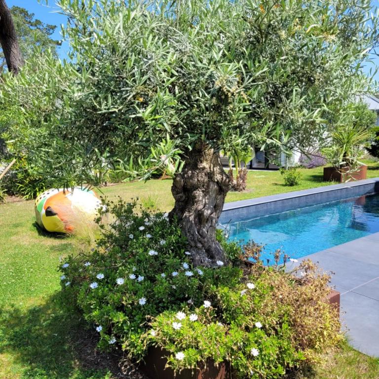 A n n e x e - Chambre Lit King-Size - Vue sur Piscine - 6