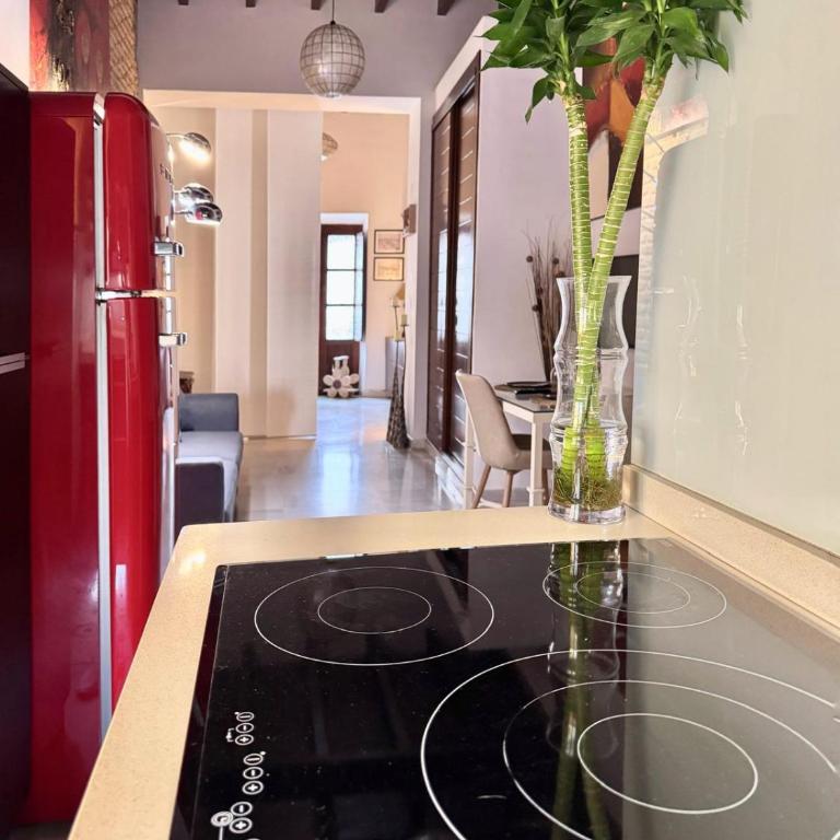 Aires de Triana - One-Bedroom Apartment - 22