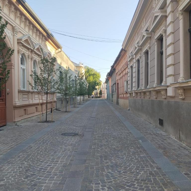 Golden Crib - Apartman sa 1 Spavaćom Sobom - 16