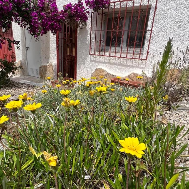 Casa Tanja - Chalet de 3 dormitorios - 3