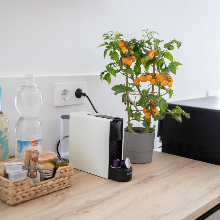 Casa Lima - spacious souterrain studio close to the beach - excellent for workcation - Apartamento de 1 dormitorio - 13