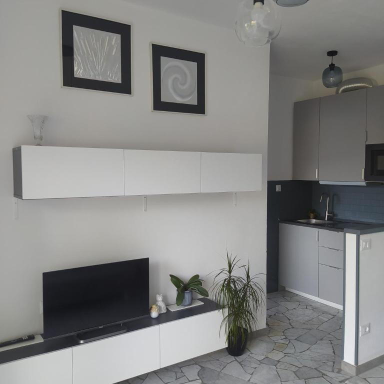 Bonga 28 - Appartamento con 1 Camera da Letto - 11