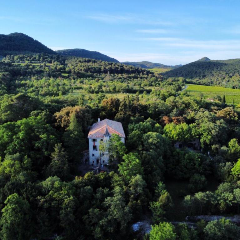 Château Daulone - Maison de Vacances - 1